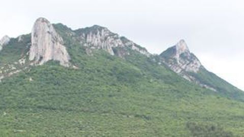 Les entreprises spécialisées dans les fertilisants organiques enregistrent des ventes en progression, à l’image d’OvinAlp qui passe de 40 000 à 48 000 t.